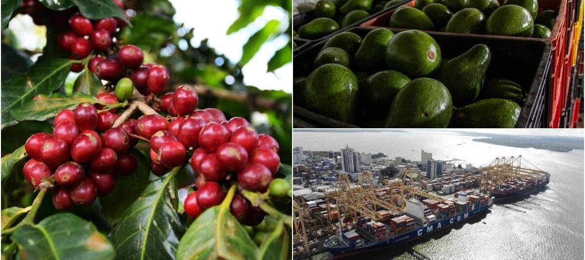 Estados Unidos es uno de los pa??ses con los que Colombia ha firmado Tratado de Libre Comercio.