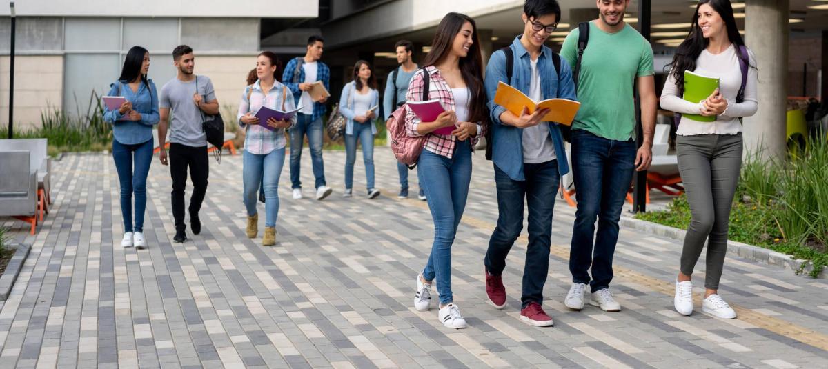 Pisos Institucionales