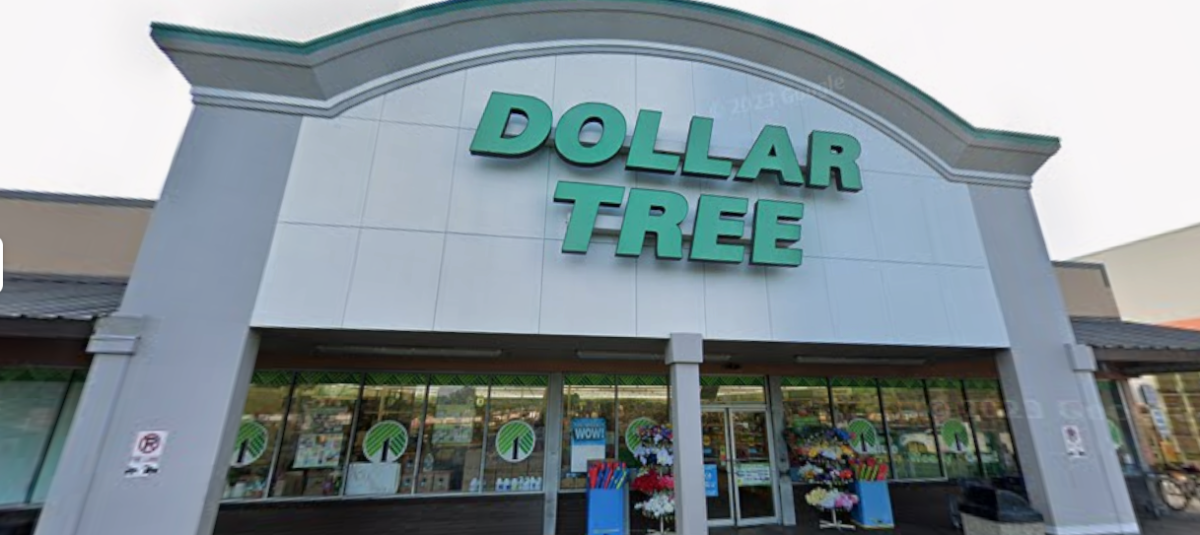 Qué son las tiendas ‘3.0’ que Dollar Tree está abriendo de forma masiva ...
