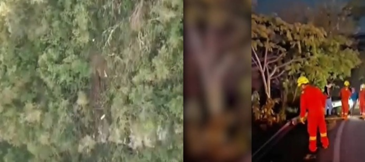 Camión tipo furgón cayó a un abismo de 200 metros en Santander: el ...