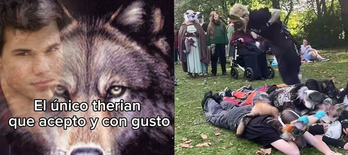 Los mejores memes de los 'Therian', los humanos que se identifican como