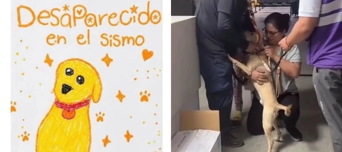 Perrito
