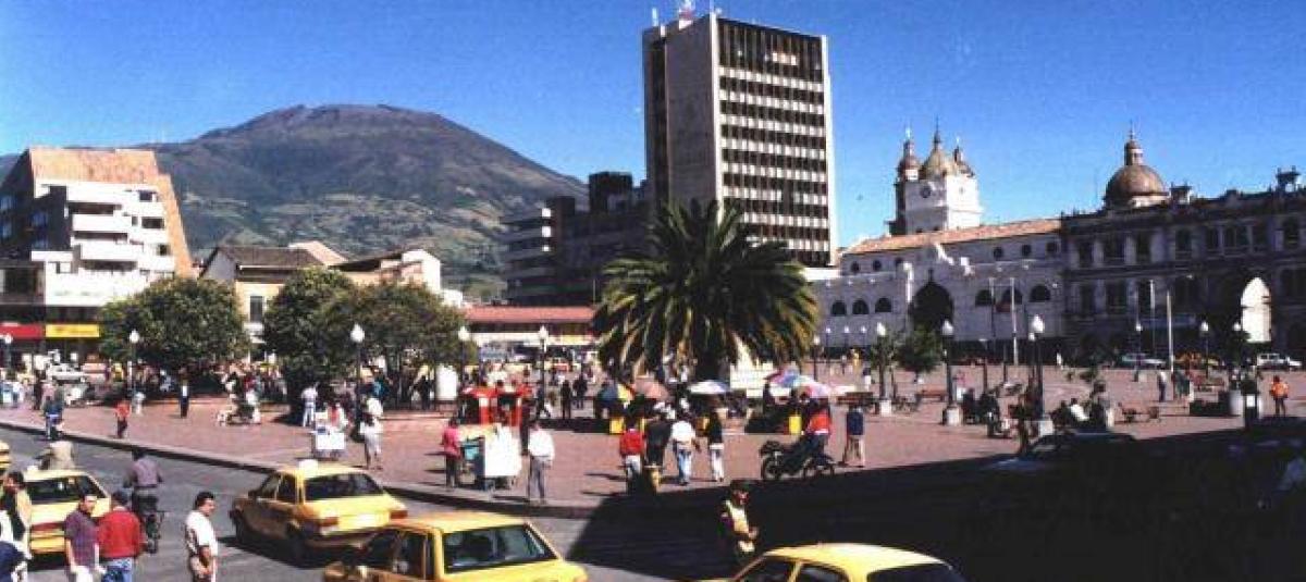 Rescatan siete perros que permanecían en una vivienda bajo presuntas condiciones de abandono y maltrato en Pasto: esto es lo que se sabe del caso