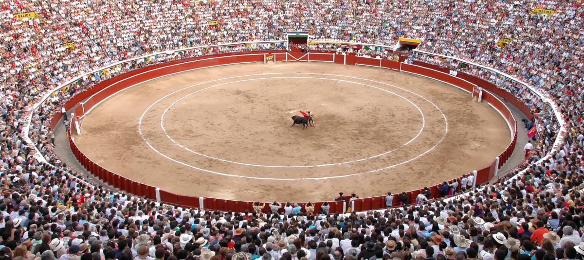 ¿Temporada taurina en Cali, con los días contados?: dudas por la aplicación de la ley 'No más olé' durante la 'fiesta brava' de fin de año