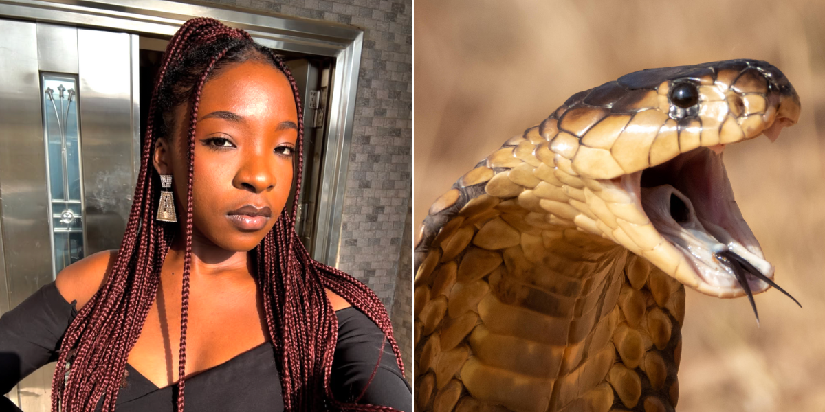 Muere a los 26 años Ifunanya Nwangene, exconcursante de 'The Voice Nigeria',  tras mordedura de serpiente: fue atacada mientras dormía en su vivienda
