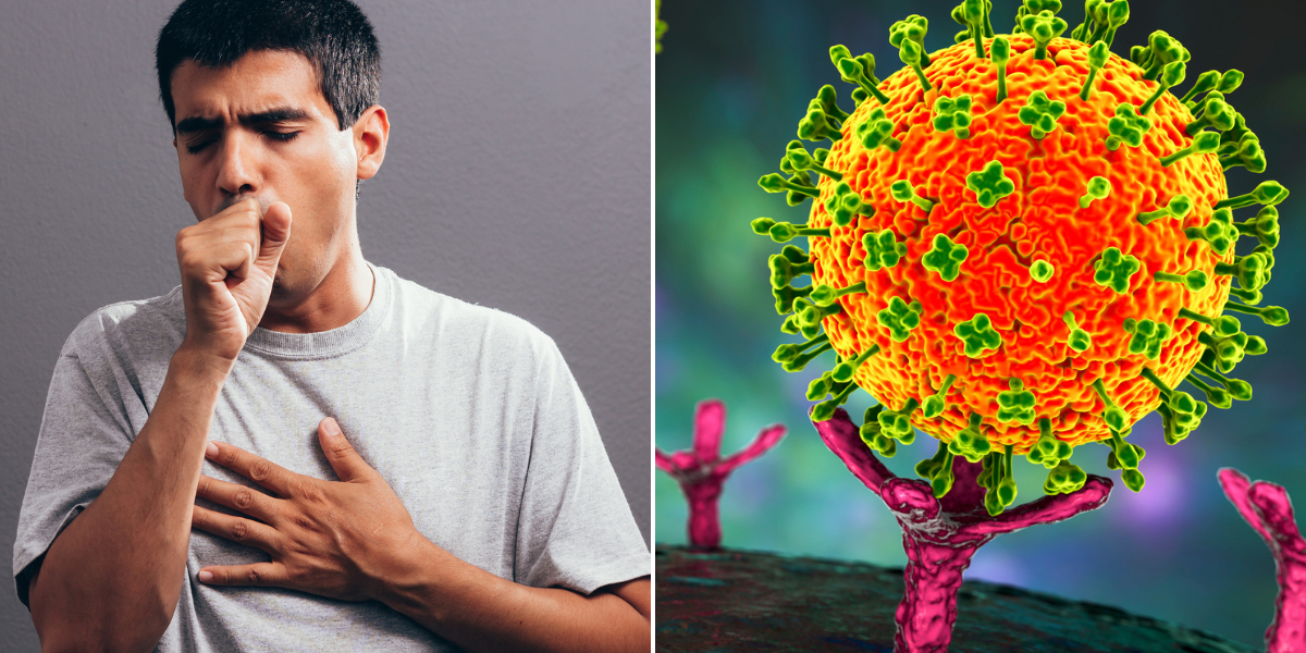 Cómo prevenir el virus Nipah? Medidas clave para protegerse del contagio que  enciende alarmas en Asia