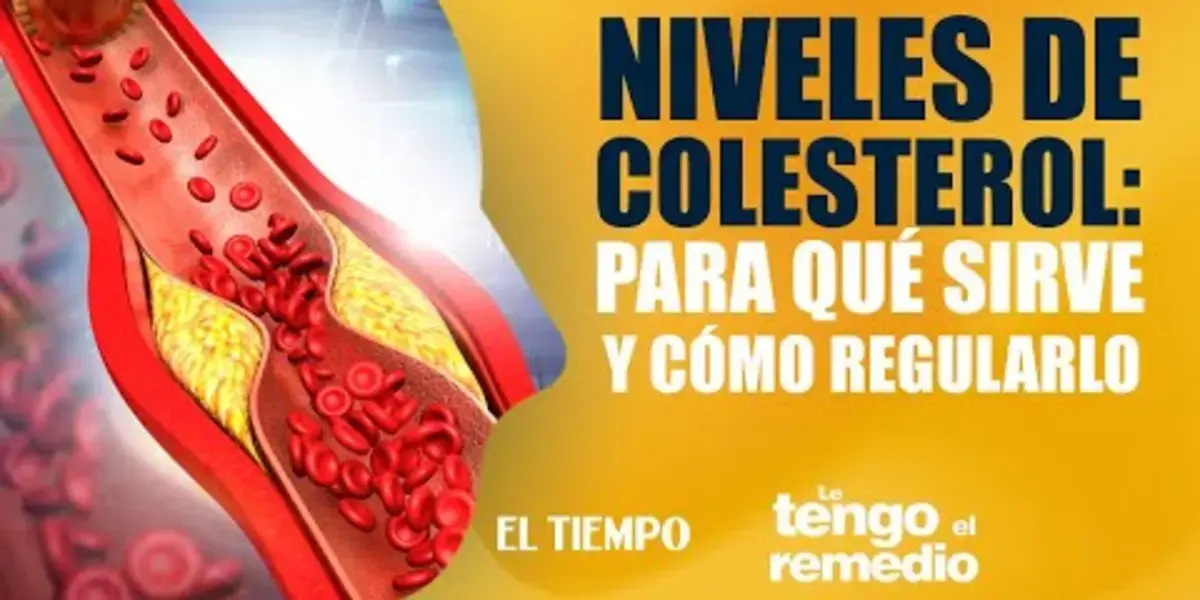 El Colesterol Alto Ejercicios Para Bajar Trigliceridos Médica
