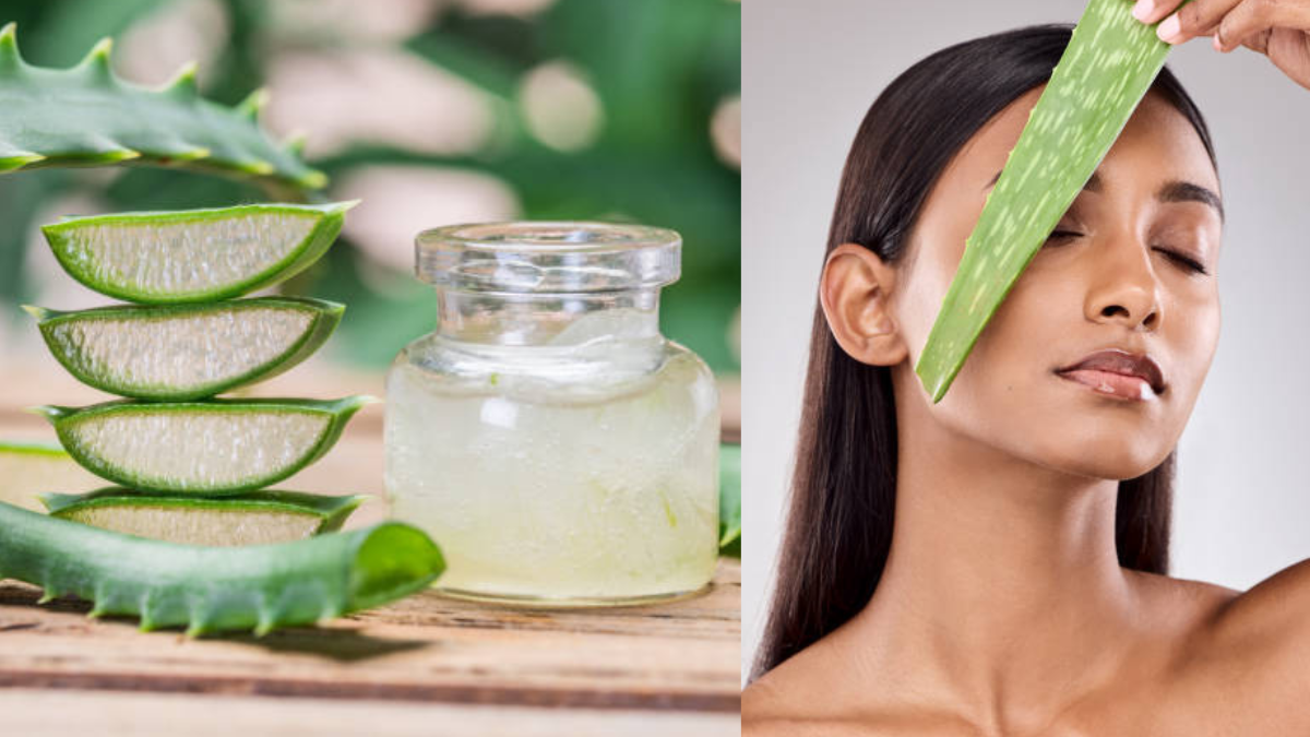 As se prepara la crema con sbila para producir colgeno y rejuvenecer la  piel del rostro y del cuerpo