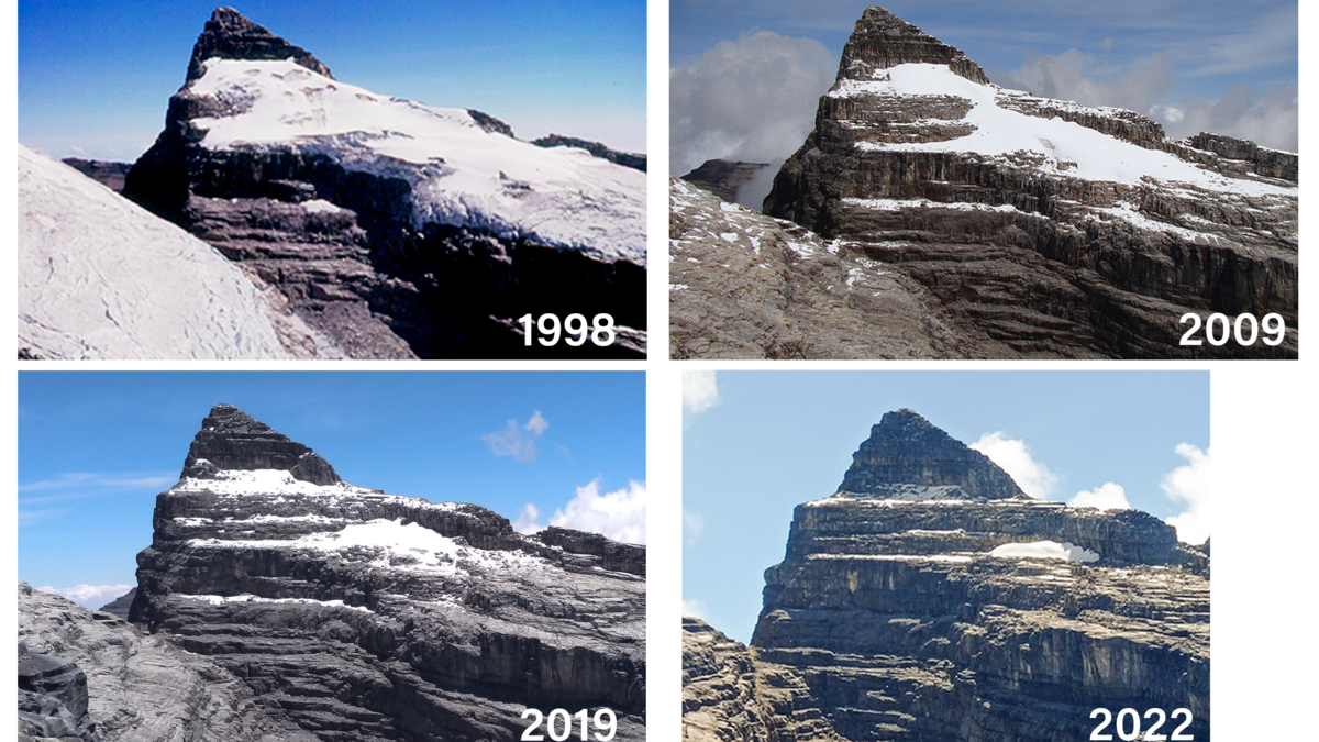 Newly discovered life on glaciers doomed to disappear