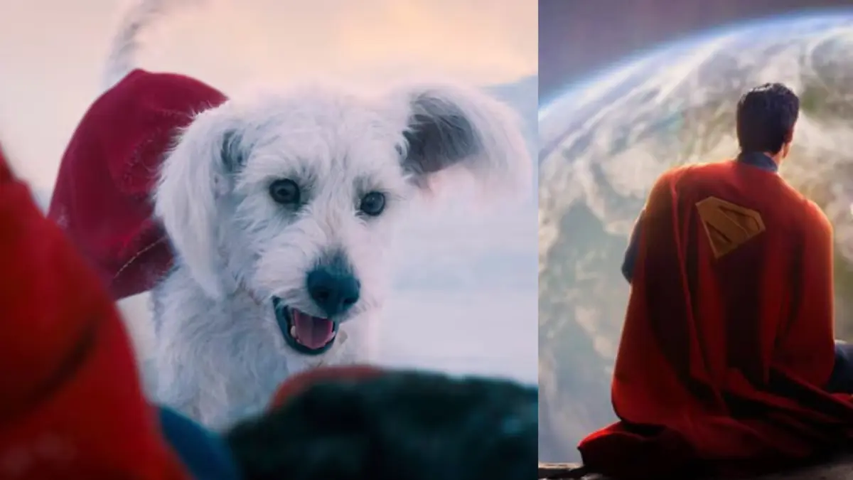 Krypto, el perro que acompaña a Superman, dispara las adopciones de  mascotas tras el estreno de la película