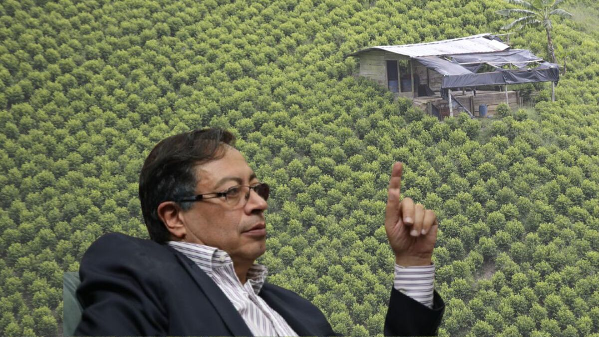 Fact check: los aciertos y pecados del gobierno de Gustavo Petro en la  lucha contra las drogas