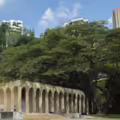 EL Museo La Tertulia, conocido por su liderazgo en arte regional.