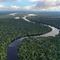 Amazonía
