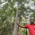 Amazonia