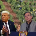 Colombia fue descertificado por Estados Unidos en la lucha antidrogas.