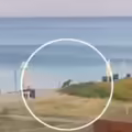 Niña estaba de vacaciones con su familia y un lobo la atacó mientras jugaba en la playa, en un resort en Grecia