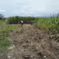 El terreno El Líbano en el Valle del Cauca.