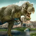 La física colombiana que buscará el origen de un misterioso campo volcánico bajo Nueva Zelanda