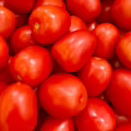 tomate