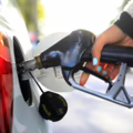 Gasolina