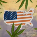 Collage Marihuana / cannabis / Estados Unidos
