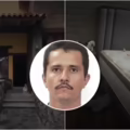 Imágenes del último escondite de 'El Mencho
