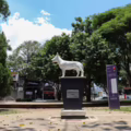 Parque del Perro, en el sur de Cali.
