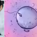 Cientificos