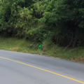 Cilindros sospechosos en la vía Panamericana, en el Cauca.