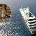 Crucero con posible foco de hantavirus.
