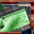 Collage green card Estados Unidos / Visa / Donald Trump / Migración