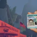 Collage green card / residencia permanente / Estados Unidos