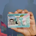 Collage green card / residencia permanente / Estados Unidos