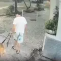 Indignación por caso de maltrato animal.
