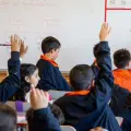 Colombia, el país de la Ocde donde los estudiantes más usan IA para hacer tareas escolares: ¿Cómo impacta esto en los aprendizajes?