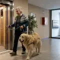 Persona mayor con un perro en un ascensor