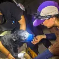 Rescate de mascotas en Venezuela