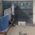 Sismo en México.