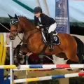 Almasanta Bogotá Horse Week 2026