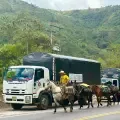 La caravana de los camiones humanitarios