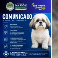 Una perrita de raza shih tzu murió en el municipio de San Roque tras ser abusada sexualmente y maltratada.