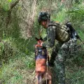 La operación se realizó en Santander.