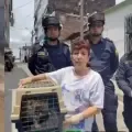 Bomberos de Pereira rescataron al gato que permanecía atrapado en un edificio del barrio Guayacanes Cuba.
