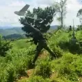 El dron usado para la operación.