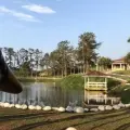 Pelé Finca