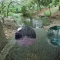 La transfusión de agua al humedal El Limonar de Cali.