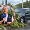 periodista atropellada en méxico