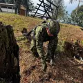 Cauca