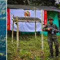 El Ejército destruyó una unidad minera al servicio del 'clan del Golfo' en el Oriente de Antioquia, en la cual se utilizaba una antena de internet satelital de Starlink.