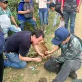 Cauca
